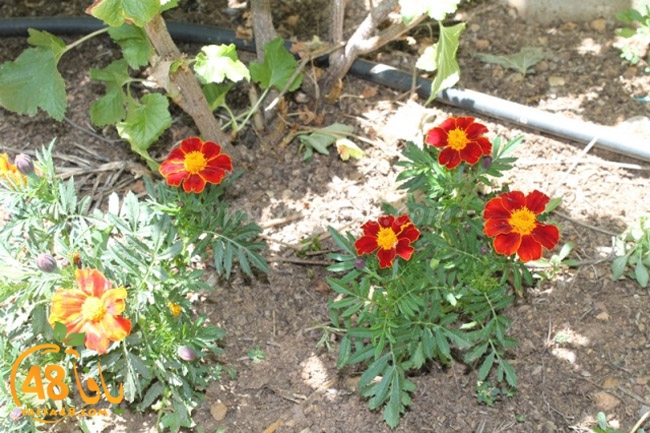 re7la a7ban (51).JPG